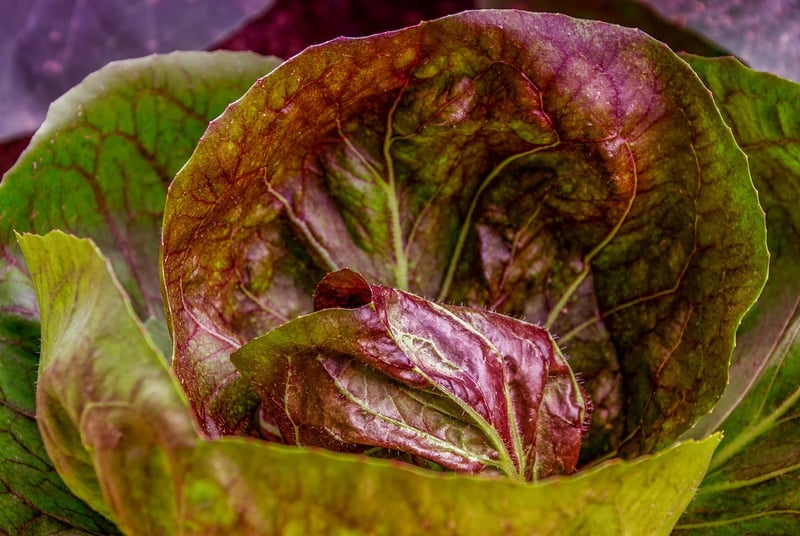 Leafy Greens