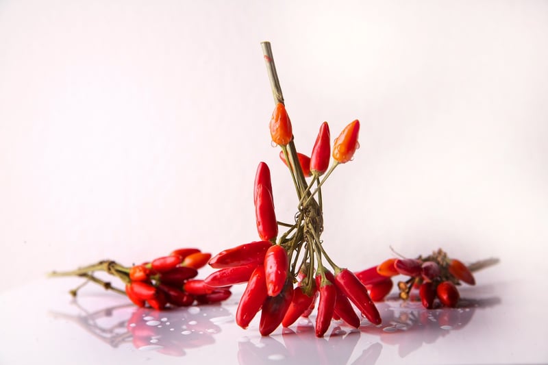 Vegetarian Chili
